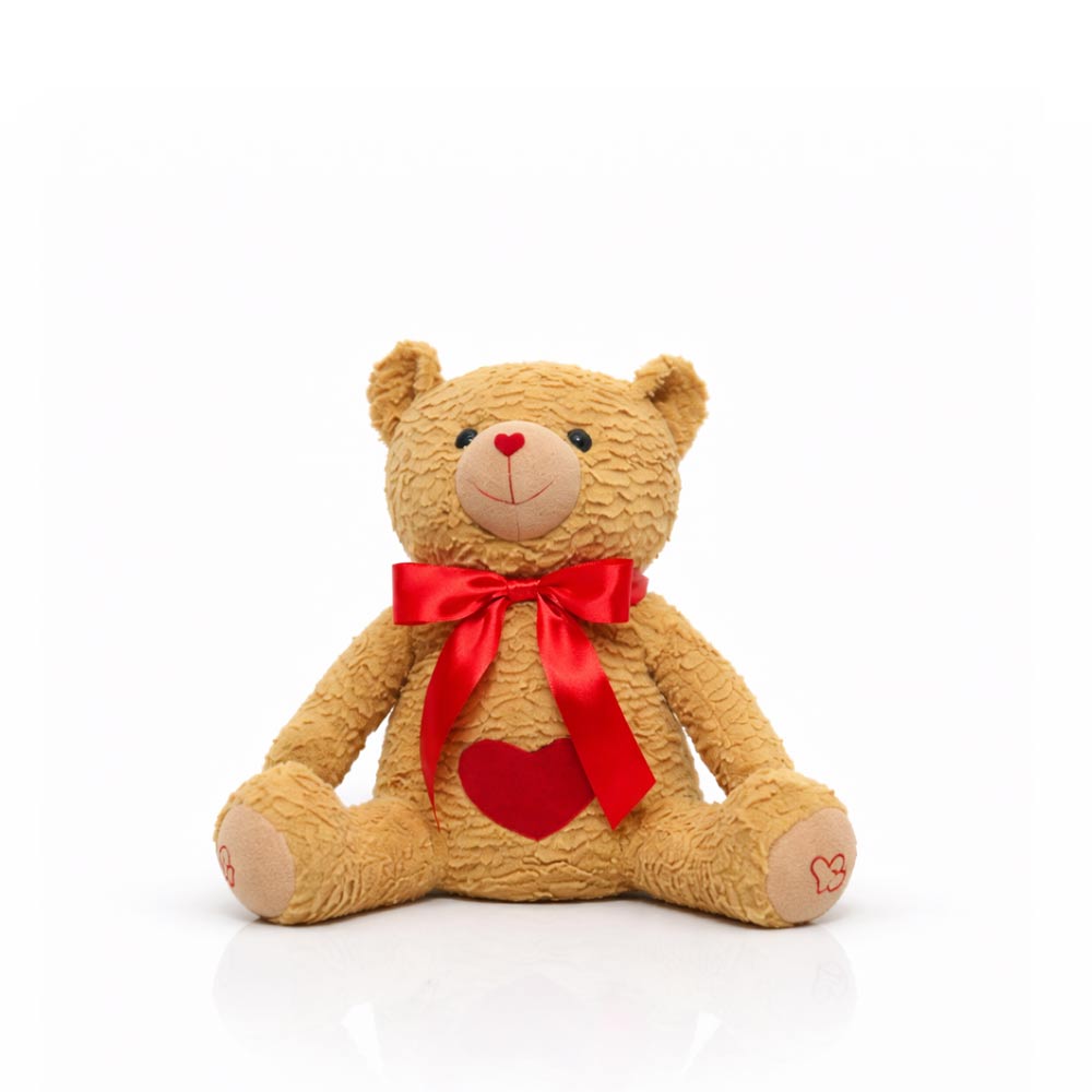 Valentine Teddy Bear Plush