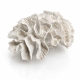 Coral-Inspired Decorative Piece