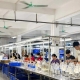 Leading Seasonal Decoration Manufacture