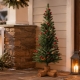 Best Christmas Tree Options
