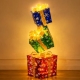SYL Lighted Décor