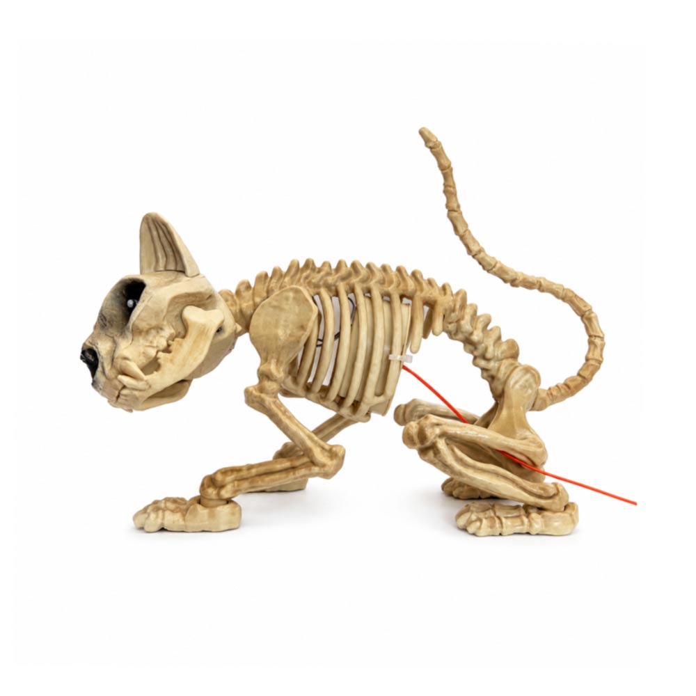 Animated-Skeleton-Cat-Halloween-Decoration-with-Light,-Sound-&-Motion-Sensor
