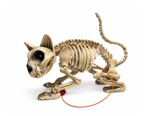 Halloween Animated Skeleton Cat