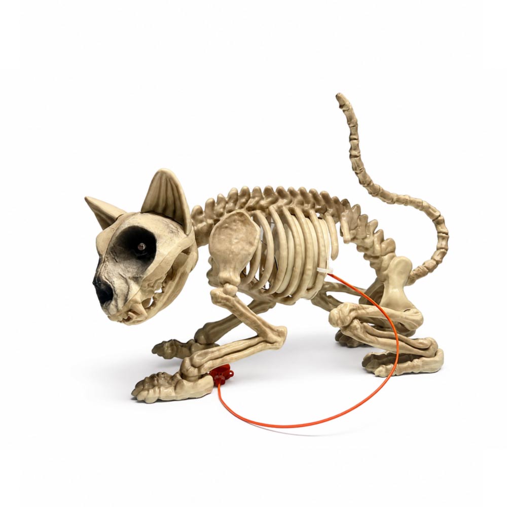 Halloween Animated Skeleton Cat